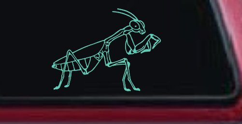 Praying Mantis Animals Car or Truck Window Decal Sticker (Mint)