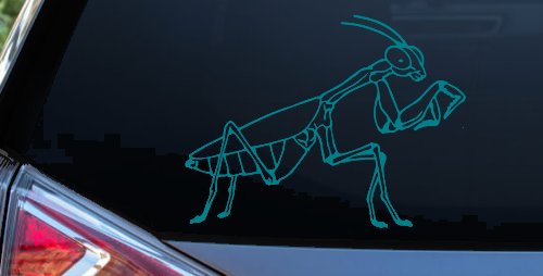 Praying Mantis Animals Car or Truck Window Decal Sticker (Turquoise Blue)