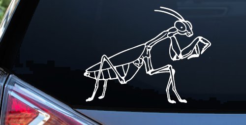 Praying Mantis Animals Car or Truck Window Decal Sticker (White)