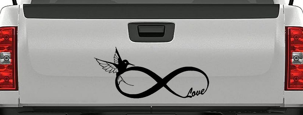 Hummingbird Love Infinity Girlie Car or Truck Window Decal Sticker