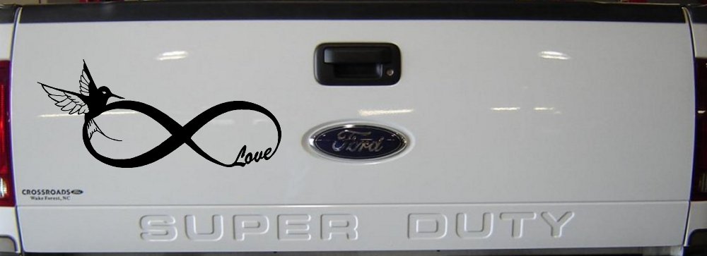Hummingbird Love Infinity Girlie Car or Truck Window Decal Sticker