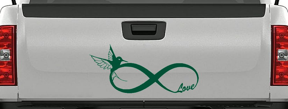 Hummingbird Love Infinity Girlie Car or Truck Window Decal Sticker