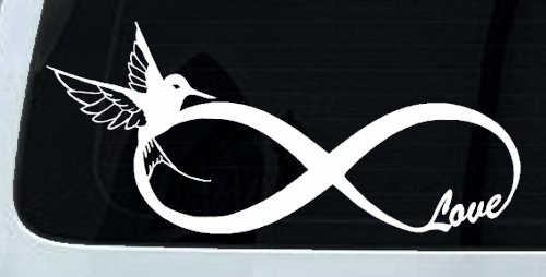Hummingbird Love Infinity Girlie Car or Truck Window Vinyl Decal Sticker (White)