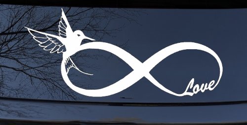 Hummingbird Love Infinity Girlie Car or Truck Window Decal Sticker