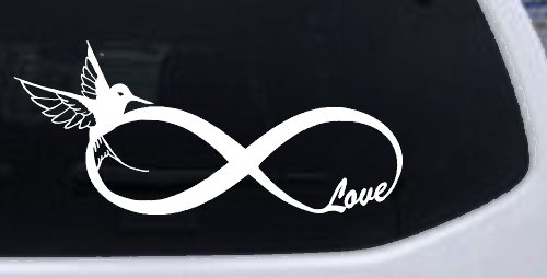 Hummingbird Love Infinity Girlie Car or Truck Window Decal Sticker