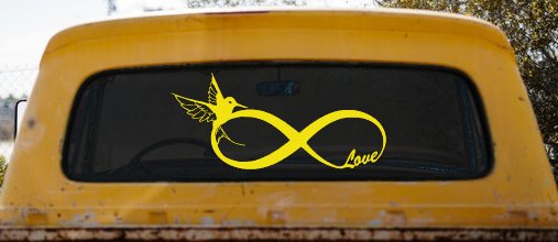 Hummingbird Love Infinity Girlie Car or Truck Window Decal Sticker