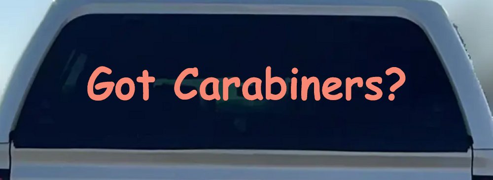 Got Carabiners Car or Truck Window Vinyl Decal Sticker (Coral)