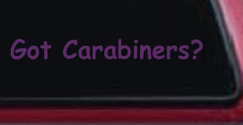Got Carabiners Car or Truck Window Decal Sticker
