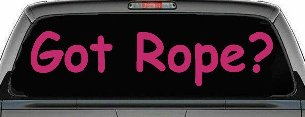 Got Rope Repelling Car or Truck Window Decal Sticker (Hot Pink)