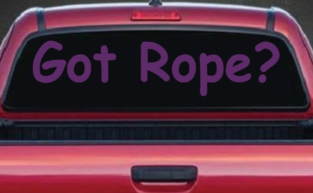 Got Rope Repelling Car or Truck Window Decal Sticker (Violet)