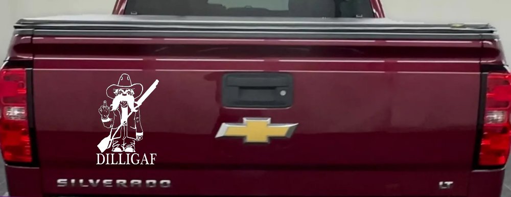 DILLIGAF Do I Look Like I Give A F Funny Car or Truck Window Decal Sticker (White)