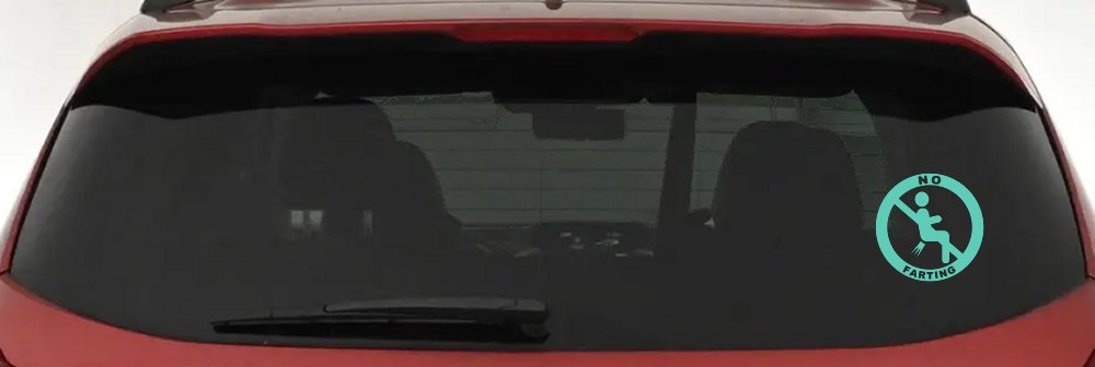 No Farting Pooting Passing Gas Funny Car or Truck Window Decal Sticker (Mint)