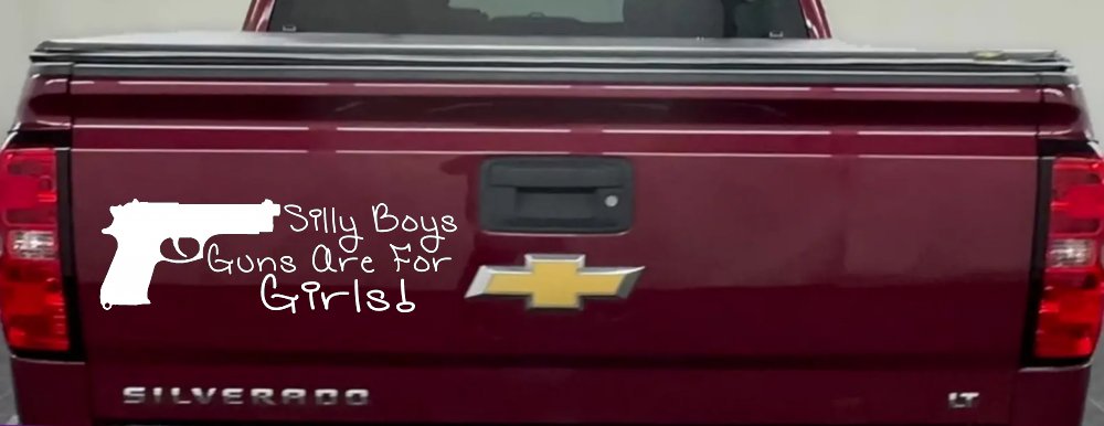 Silly Boys Guns Are For Girls Car or Truck Window Decal Sticker (White)