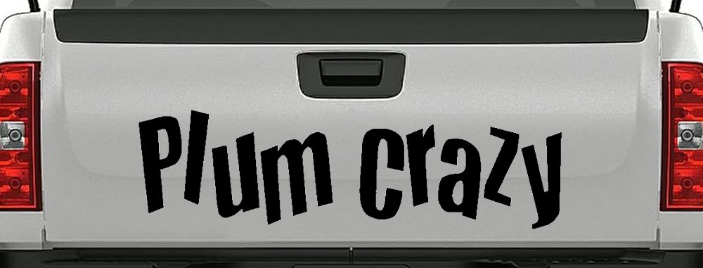Plum Crazy Car or Truck Window Decal Sticker (Black)