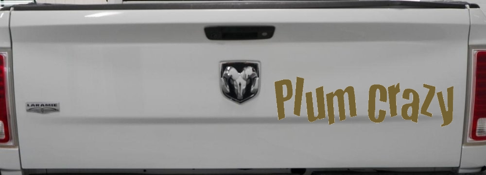 Plum Crazy Car or Truck Window Decal Sticker