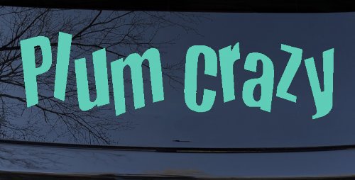 Plum Crazy Car or Truck Window Decal Sticker (Mint)
