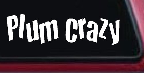 Plum Crazy Car or Truck Window Decal Sticker (White)