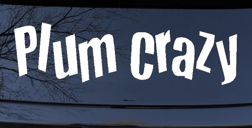 Plum Crazy Car or Truck Window Decal Sticker