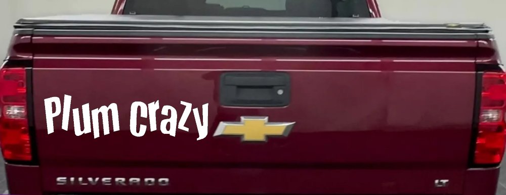 Plum Crazy Car or Truck Window Vinyl Decal Sticker (White)