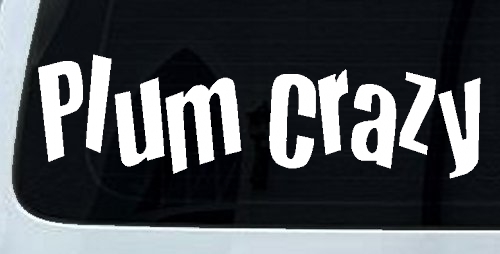 Plum Crazy Car or Truck Window Decal Sticker
