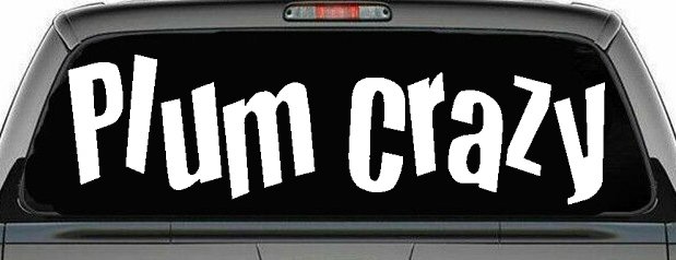 Plum Crazy Car or Truck Window Decal Sticker (White)