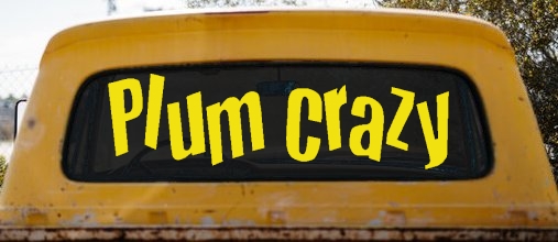 Plum Crazy Car or Truck Window Decal Sticker