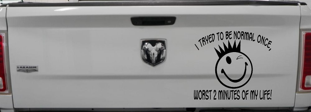 I Tryed To Be Normal Once Funny Car or Truck Window Decal Sticker (Black)