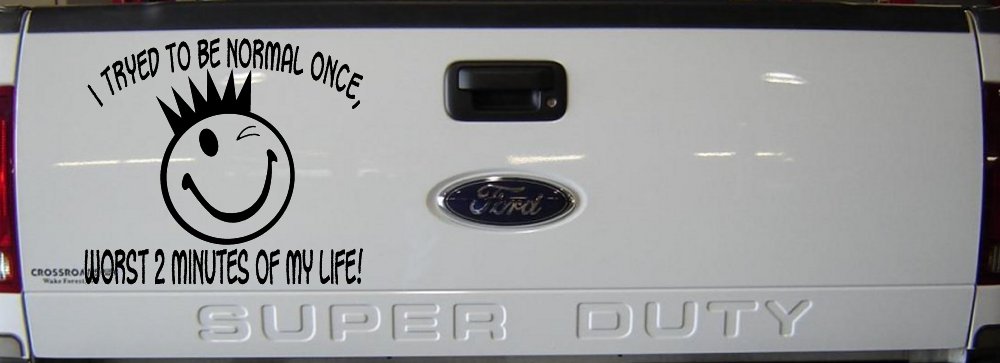 I Tryed To Be Normal Once Funny Car or Truck Window Decal Sticker (Black)