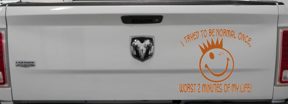 I Tryed To Be Normal Once Funny Car or Truck Window Vinyl Decal Sticker (Nut Brown)