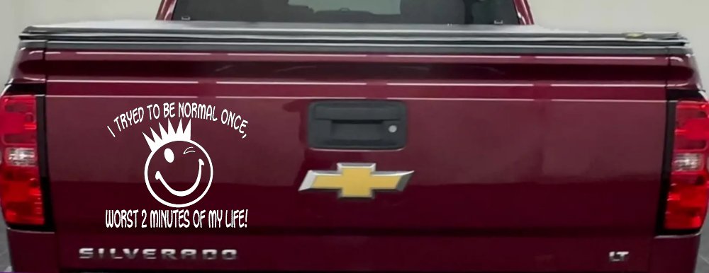 I Tryed To Be Normal Once Funny Car or Truck Window Decal Sticker (White)