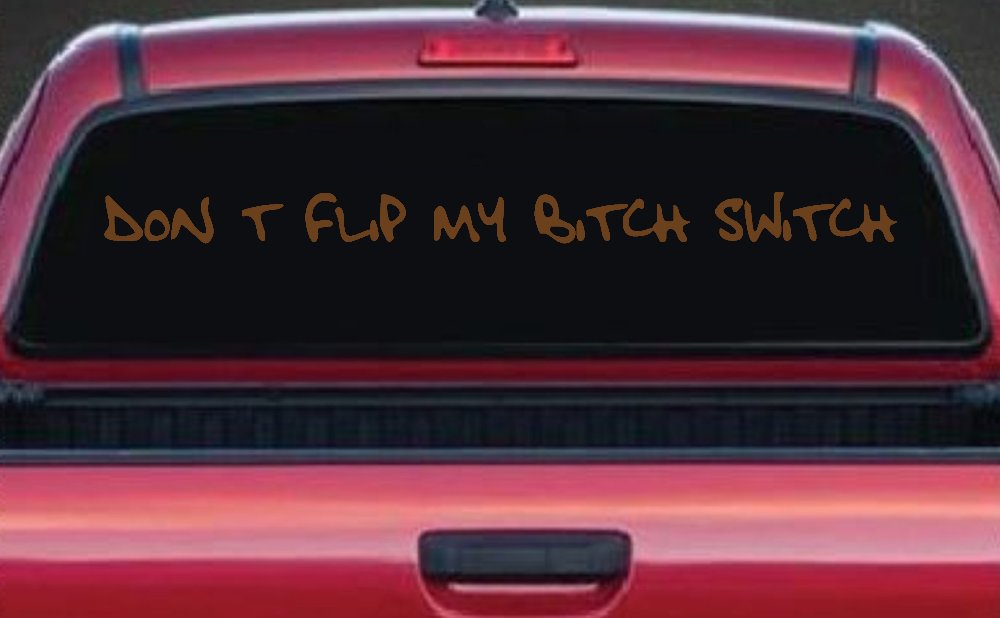 Dont Flip My Bitch Switch Car or Truck Window Decal Sticker (Copper)