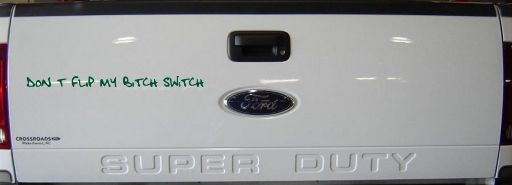 Dont Flip My Bitch Switch Car or Truck Window Decal Sticker (Dark Green)