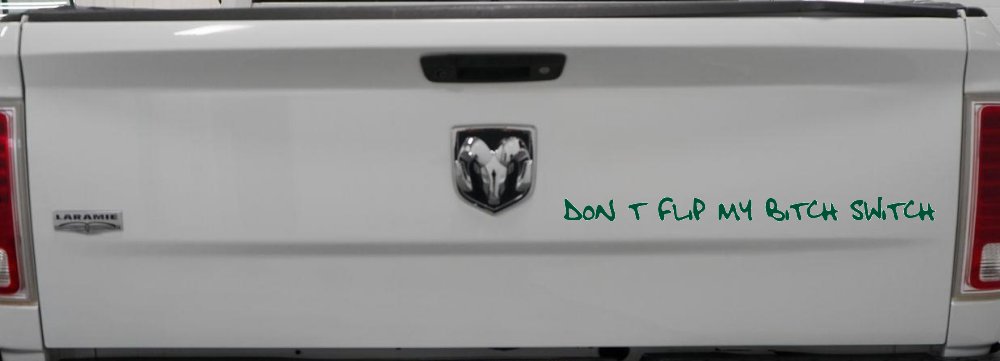 Dont Flip My Bitch Switch Car or Truck Window Decal Sticker (Dark Green)