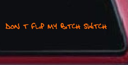 Dont Flip My Bitch Switch Car or Truck Window Vinyl Decal Sticker (Orange)