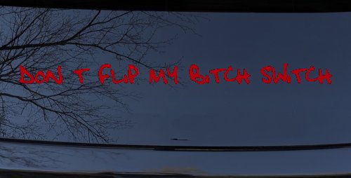 Dont Flip My Bitch Switch Car or Truck Window Decal Sticker