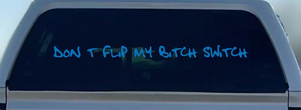 Dont Flip My Bitch Switch Car or Truck Window Decal Sticker