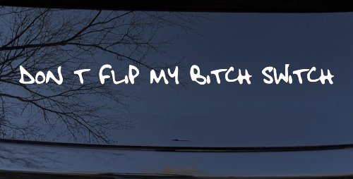 Dont Flip My Bitch Switch Car or Truck Window Vinyl Decal Sticker (White)