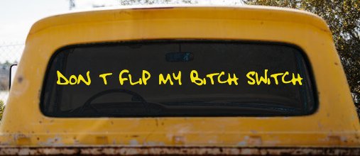 Dont Flip My Bitch Switch Car or Truck Window Vinyl Decal Sticker (Yellow)