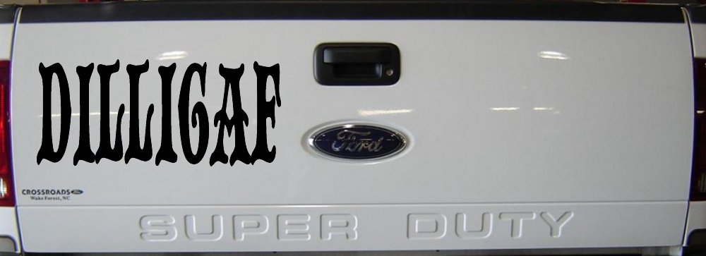 Dilligaf Do I look Like A Give A FxxK Funny Car or Truck Window Decal Sticker