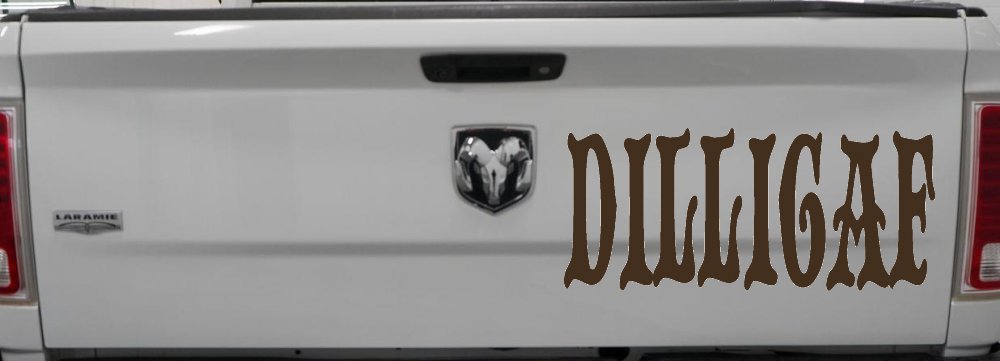 Dilligaf Do I look Like A Give A FxxK Funny Car or Truck Window Decal Sticker