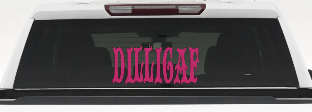 Dilligaf Do I look Like A Give A FxxK Funny Car or Truck Window Decal Sticker