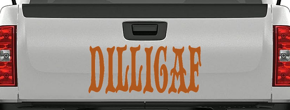 Dilligaf Do I look Like A Give A FxxK Funny Car or Truck Window Decal Sticker (Nut Brown)