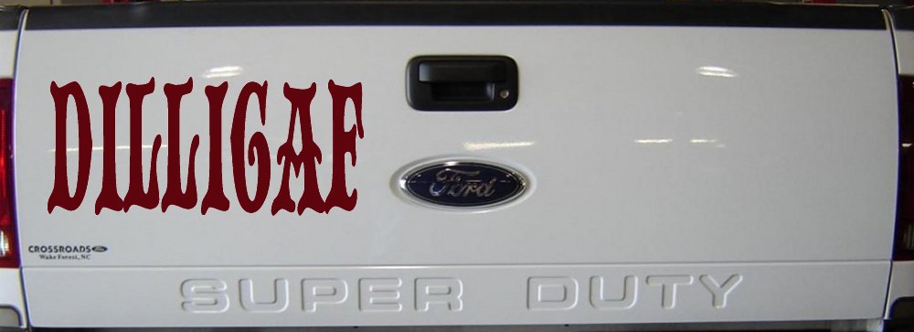 Dilligaf Do I look Like A Give A FxxK Funny Car or Truck Window Decal Sticker