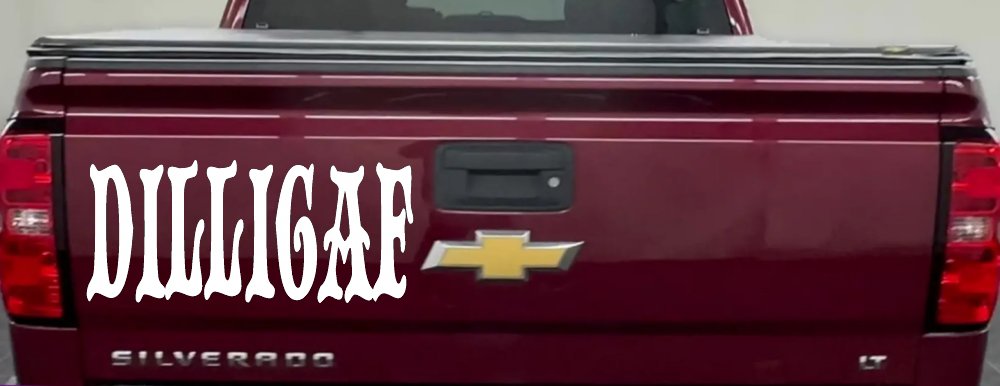 Dilligaf Do I look Like A Give A FxxK Funny Car or Truck Window Decal Sticker (White)