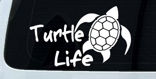 Turtle Life Car or Truck Window Decal Sticker (White)