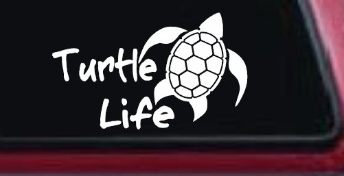Turtle Life Car or Truck Window Decal Sticker (White)