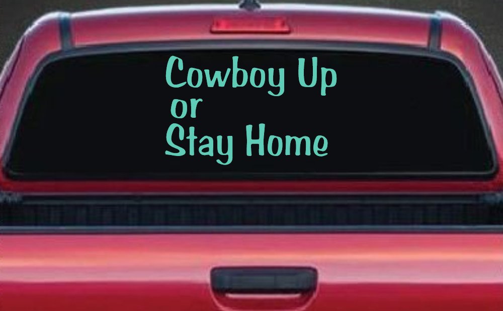 Cowboy Up Or Stay Home Western Car or Truck Window Vinyl Decal Sticker (Mint)