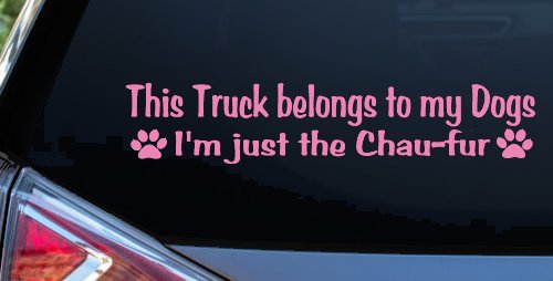 This Truck Belongs To My Dog Im Just The Chaufur Car or Truck Window Decal Sticker (Pink)