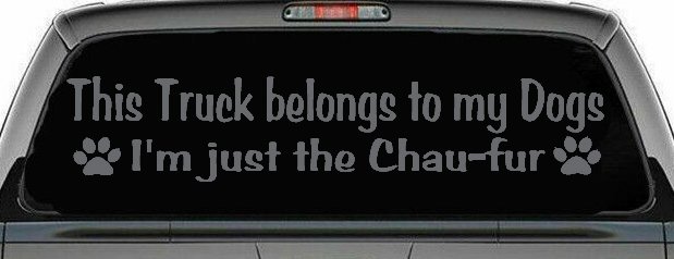 This Truck Belongs To My Dog Im Just The Chaufur Car or Truck Window Decal Sticker (Silver)