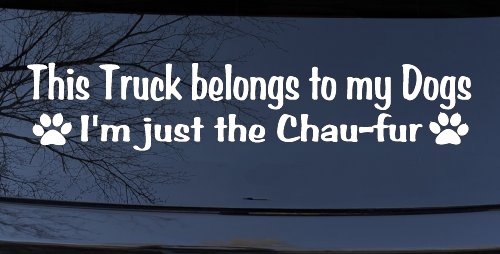 This Truck Belongs To My Dog Im Just The Chaufur Car or Truck Window Decal Sticker (White)